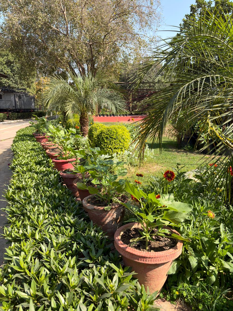 Flowering beds and maintained greenery at National Rail Museum